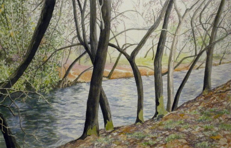 Big Chico Creek - ChicoScape, Oiginal watercolor, Private collection, Giclée bare print 9 x 14 $49 or 11x17 $75