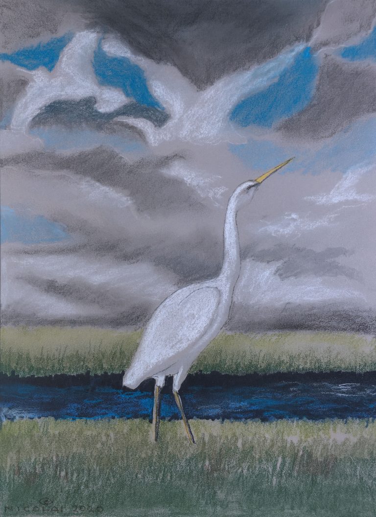 Dreaming of Home - Sacred Spirit Animal Series, Pastels. Original in private collection. Giclée bare print, 11 x 8, $39.