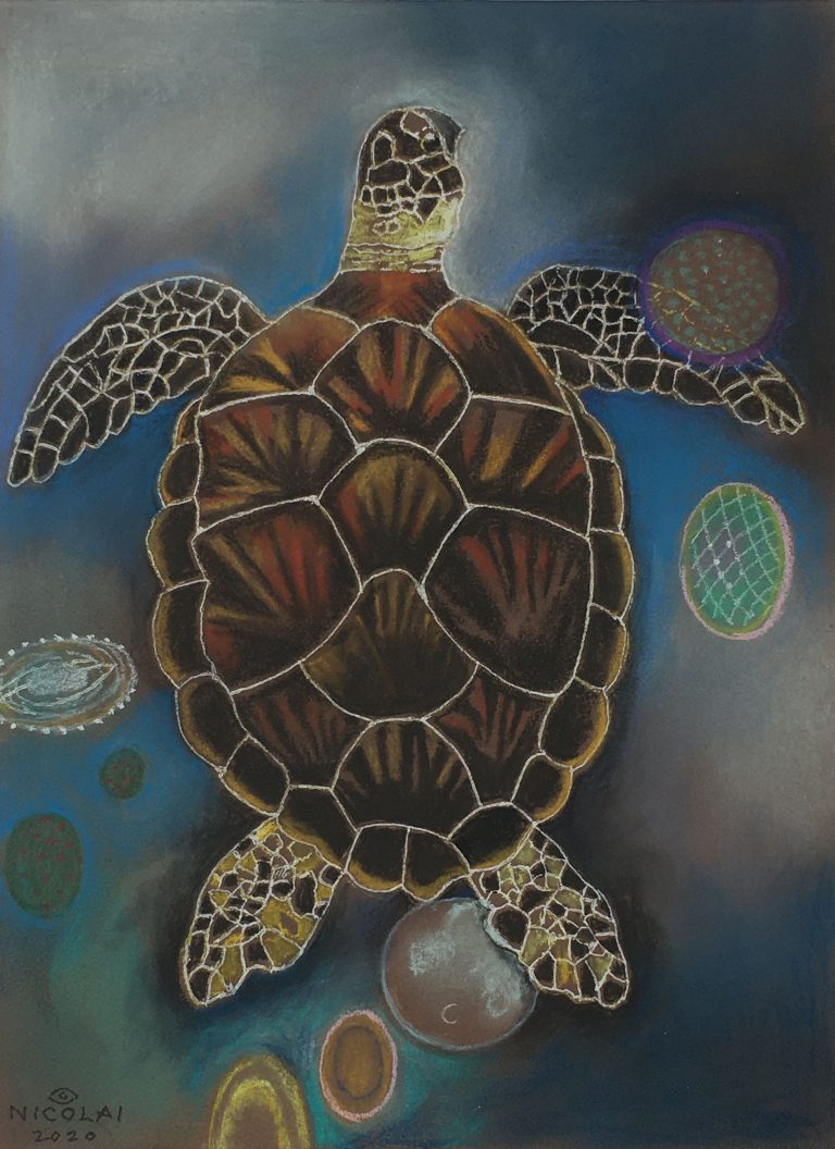 Turtle Soup - Sacred Spirit Animal Series, Pastel, 11 x 8 original, 18 x 14 w/frame - Private collection