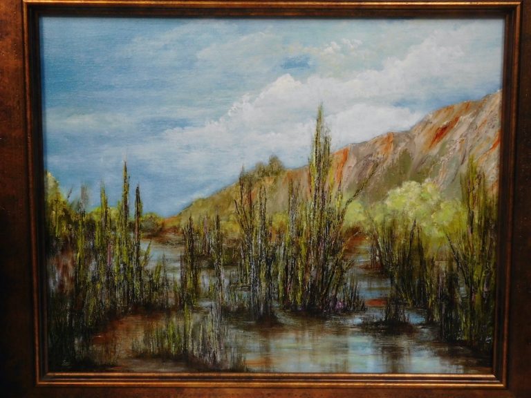 Cosumnes Estuary Carmel 1 768x576