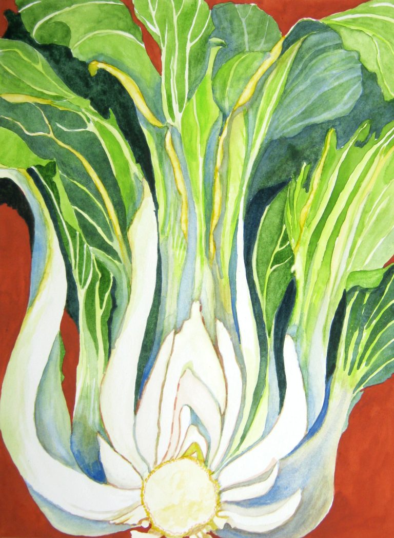 Half a Head of Bok Choy 768x1048