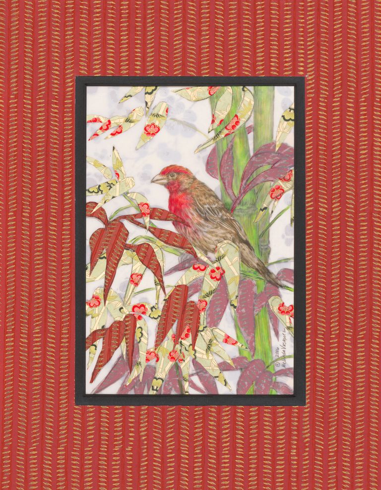 House Finch with Bamboo 768x987