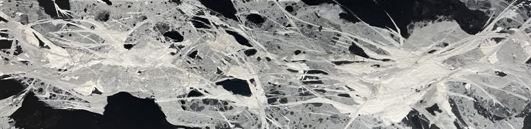 IMG 3901 768x187