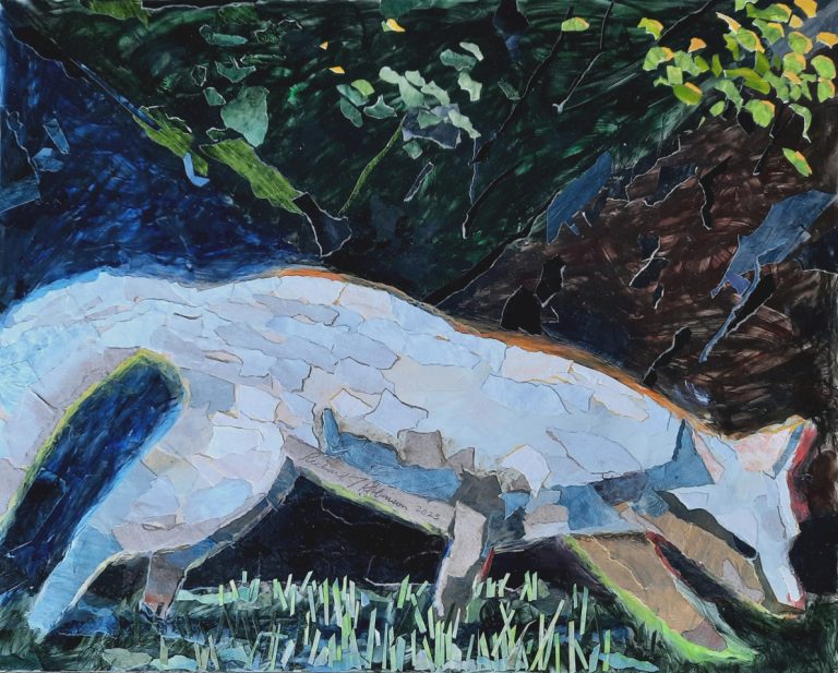 'Fox'