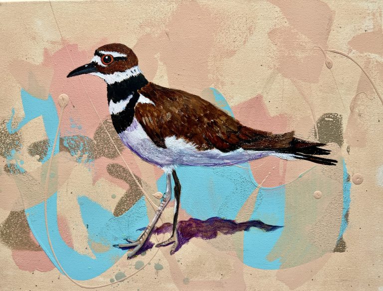 The Anxious Killdeer