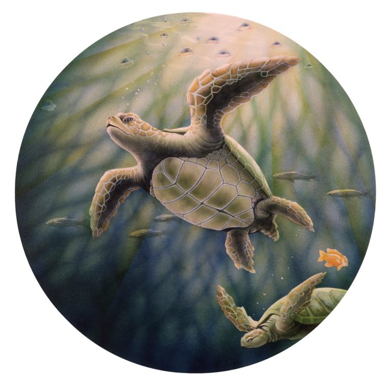Sea Turtle - Giclée from original airbrush ink, 10 X 10 Bare Print $39. Sold.