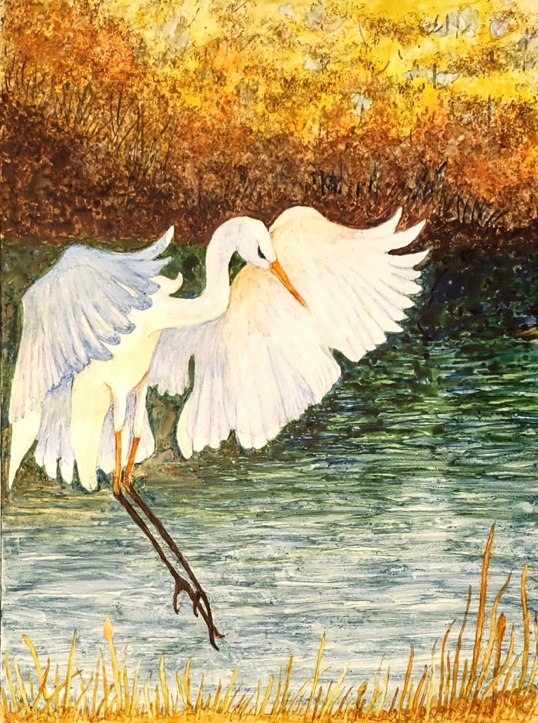 Something Startled the Egret 768x1032