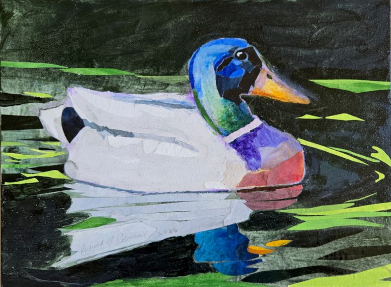 "duh duck"